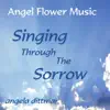 Angela Dittmar - Walking the Streets of Heaven