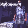 Maticulous