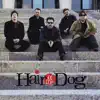 Hair of the Dog - Whiskey In a Jar