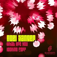 What Are You Looking For? - EP - Noel Sanger