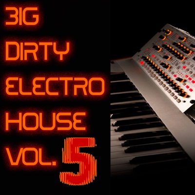 Big Dirty Electro House, Vol. 5
