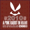 Nojazz No Jazz A Pink Rabbit In Miami (2010 One Year Ago)