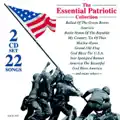 Ballad Of The Green Berets