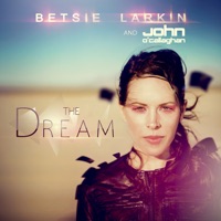 The Dream (Remixes) - EP - Betsie Larkin & John O'Callaghan