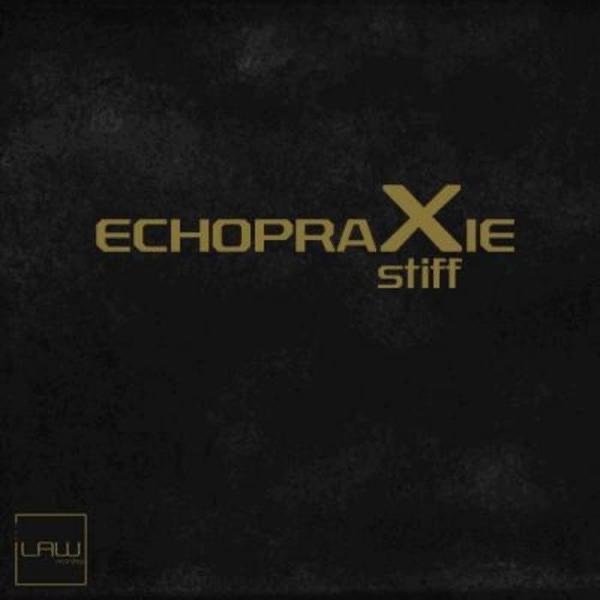 Echopraxie