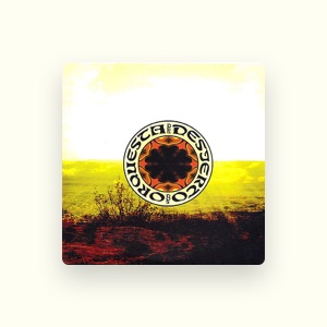 Orquesta del Desierto