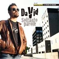 Soltanto parole - David