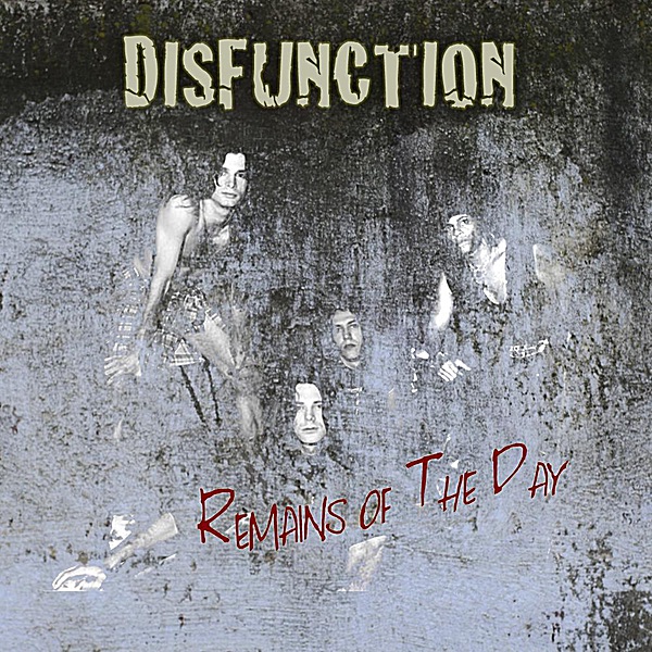 Обложка альбома «Remains of the Day» — Disfunction