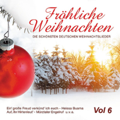 Cover art for Fröhliche Weihnachten Vol. 6 by Tölzer Knabenchor