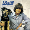 Dave - Dansez maintenant (Moonlight Serenade) kunstwerk