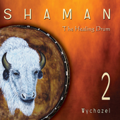 Shaman 2