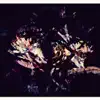 Fredrik - Rites of Spring