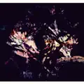 Rites of Spring