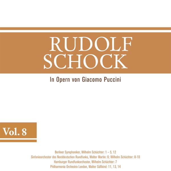 Rudolf Schock, Vol. 8