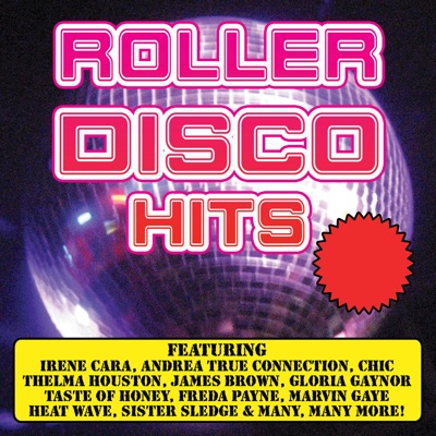 Roller Disco Hits (Re-Recorded Versions) - Anita Ward