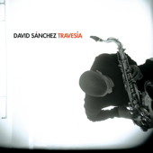 Cover art for Travesía by David Sánchez