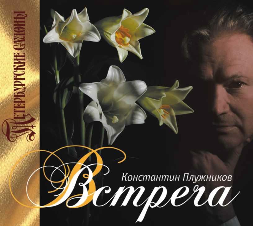 Обложка альбома «Meeting» — Konstantin Pluzhnikov