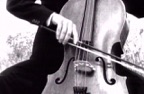 Le quattro stagioni - Violin Concerto in G Minor, Op. 8, No. 2, RV 315 "Summer": III. Presto, tempo impetuoso d'estate