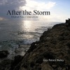 After the Storm, 2010