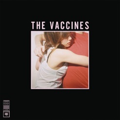 WHAT DID YOU EXPECT FROM THE VACCINES cover art