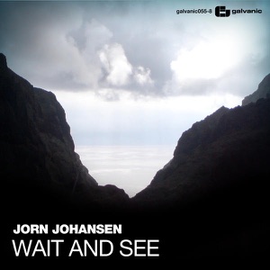 Wait And See - Single