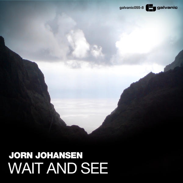 Wait And See - Single