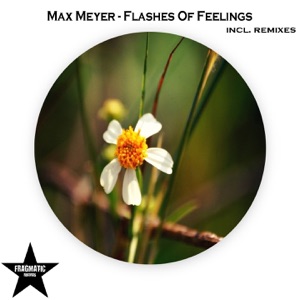 Flashes of Feelings (Remixes)