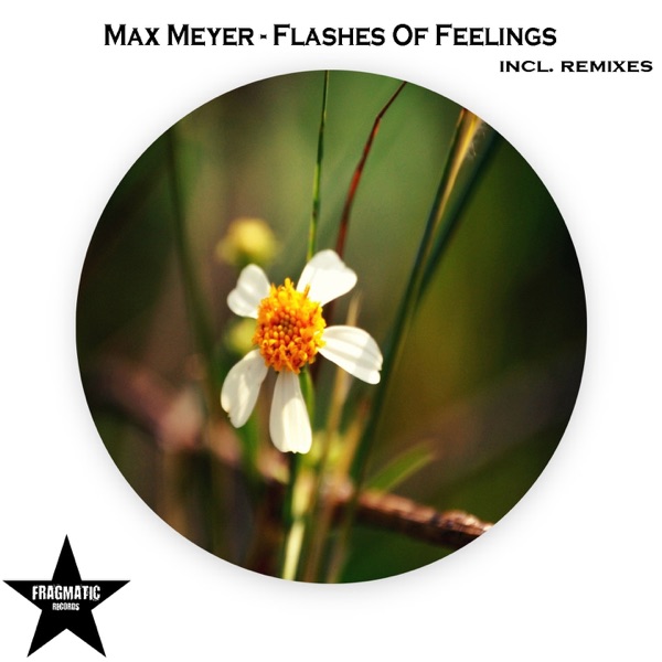 Flashes of Feelings (Remixes)