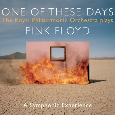 The Royal Philharmonic Orchestra Plays Pink Floyd/One Of These Days - Royal Philharmonic Orchestra