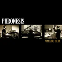 Democracy — Phronesis