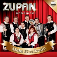 Ansambel Zupan - Gemütlich in einer Berghütte