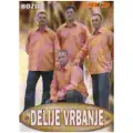 Brana iz Celinca
