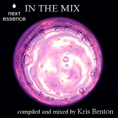 Next Essence - In the Mix - Label Compilation
