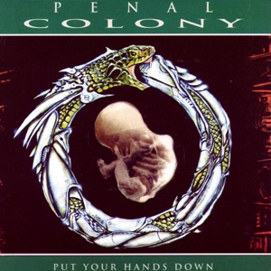 Put Your Hands Down