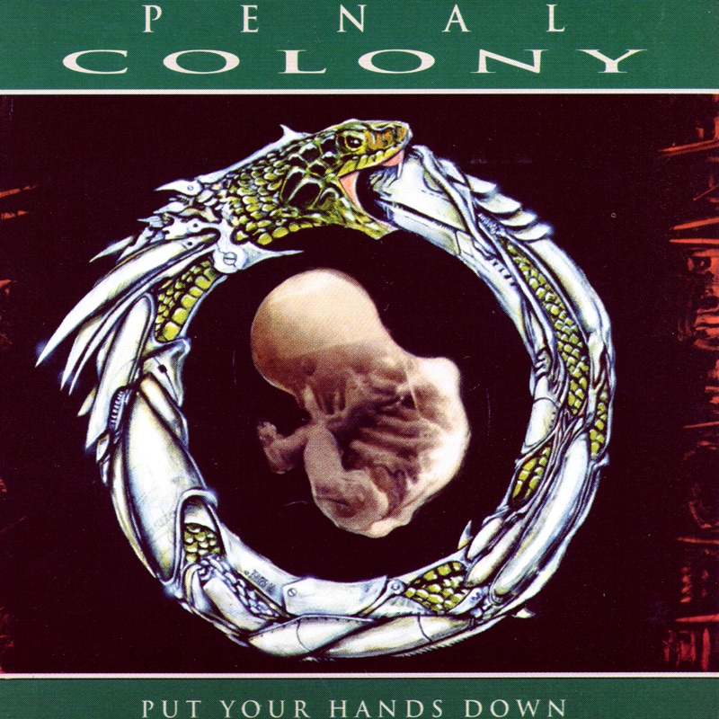Put Your Hands Down