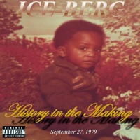 History In the Making - Iceberg