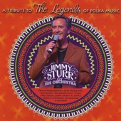 Jimmy Sturr & His Orchestra - Carpenter Polka