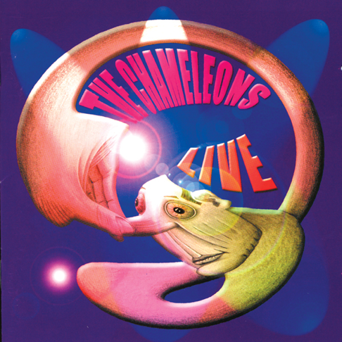 The Chameleons - Apple Music