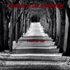 Veel Te Ver - Single