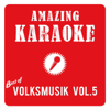 Best of Volksmusik, Vol. 5 (Karaoke) - Amazing Karaoke