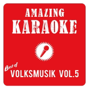 Best of Volksmusik, Vol. 5 (Karaoke) - Amazing Karaoke