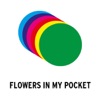 Flowers in My Pocket - Single
