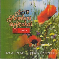 A szerelem évszakai: Nyár - Nagyon kell, hogy szeress - V' Moto Rock, Fonográf, Zorán, Bergendy, Dorottya Udvaros, Tamás Somló, KFT, Klári Katona, Györgyi Tarján, Kati Kovács, Koncz Zsuzsa, László Tolcsvay, Locomotiv GT & Color