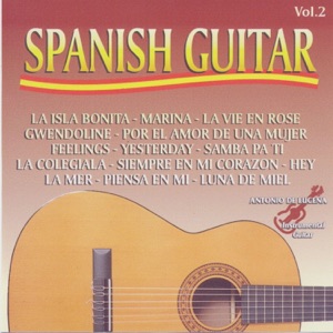 Spanish Guitar 2