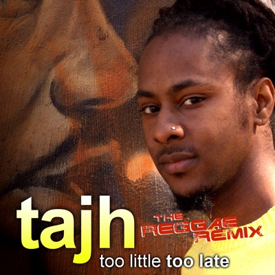 Too Little Too Late (The Reggae Remix) - Single