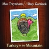 Turkey In the Mountain