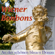 An der schönen blauen Donau - Vienna Ballroom & Günther Ehrig