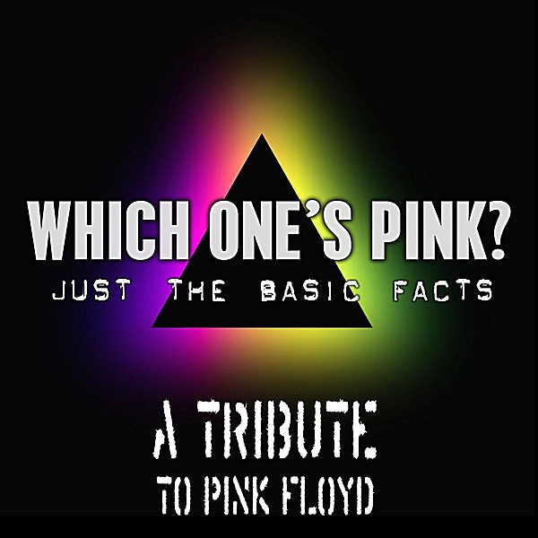 Comfortably Numb