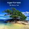 Tigerforest - Moment of Grace