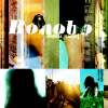 Animal Magic - Bonobo new Single